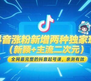 抖音涨粉两类独家玩法详解 亲测有效的完整抖音起号实操课程-雨叶虚拟资源网