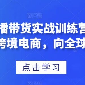 TikTok直播带货实战训练营 跨境电商全球卖货全流程教程-雨叶虚拟资源网
