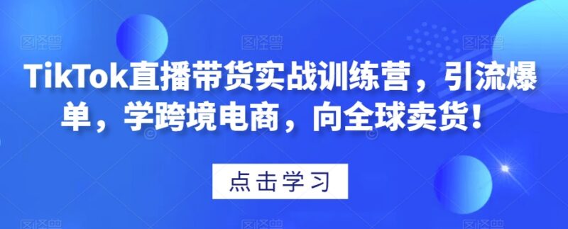 TikTok直播带货实战训练营 跨境电商全球卖货全流程教程