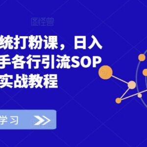 系统打粉引流实战课程 全行业通用引流SOP实操教学指南-雨叶虚拟资源网