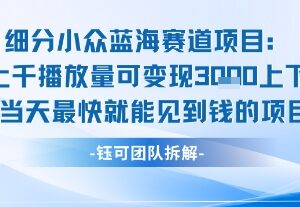 低门槛小众蓝海副业项目 新手可做当日可变现可长期运营-雨叶虚拟资源网
