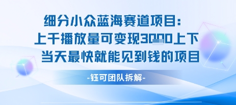 低门槛小众蓝海副业项目 新手可做当日可变现可长期运营