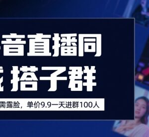 抖音同城搭子群直播项目 0粉无需露脸低门槛变现操作指南-雨叶虚拟资源网