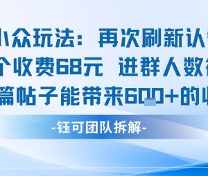 小众付费进群玩法拆解 单人收费68元单帖最高可获600元收益-雨叶虚拟资源网