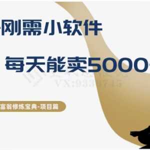 售卖多开类刚需小软件日赚5000+ 低门槛小众副业实操拆解-雨叶虚拟资源网