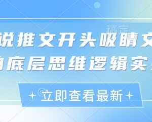 小说推文开头吸睛文案怎么写？底层逻辑及实操方法详解-雨叶虚拟资源网