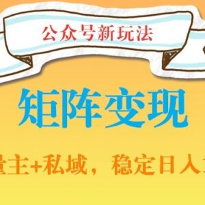 公众号软件分享实操攻略 私域引流+网盘拉新多渠道变现教程-雨叶虚拟资源网