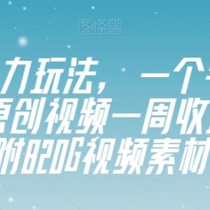 适合新手的视频号原创玩法 手机几分钟出片附820G素材资源-雨叶虚拟资源网