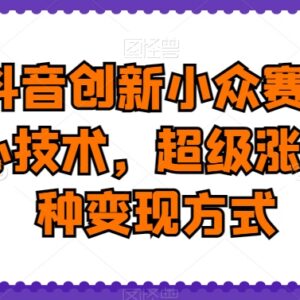 2024抖音小众创新赛道上热门技巧 涨粉与多变现方式全解析-雨叶虚拟资源网