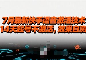 2024年7月最新快手语音激活技术 14天起号实操方法分享-雨叶虚拟资源网