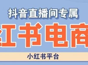 小红书电商高级运营实操课 含开店选品运营全流程案例教学-雨叶虚拟资源网