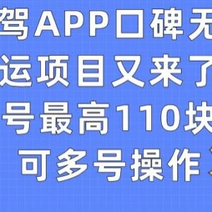 有驾APP口碑搬运项目玩法详解 单账号最高收益110元可多号操作-雨叶虚拟资源网