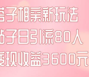同城搭子相亲新玩法实操教程 单帖引流80人当日变现项目拆解-雨叶虚拟资源网