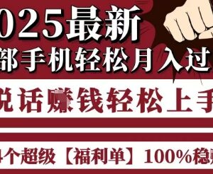 2025年低门槛手机赚钱项目汇总 新手无经验也能轻松上手-雨叶虚拟资源网