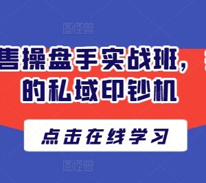 私域发售操盘手实战班教程 从0到1掌握全链路私域发售玩法-雨叶虚拟资源网