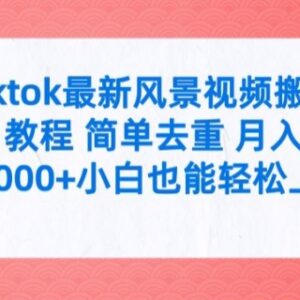 2024TikTok风景视频搬运教程 简单去重小白易上手获收益-雨叶虚拟资源网