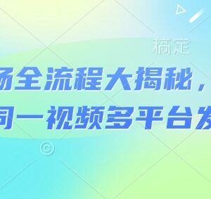 河马剧场短剧运营全流程解析 同款内容多平台发布实操教程-雨叶虚拟资源网