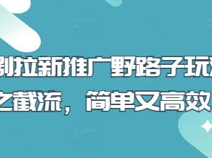 2025短剧拉新推广截流野路子玩法介绍 操作简单效率高-雨叶虚拟资源网