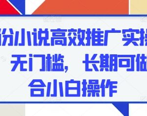 五月份零成本无门槛小说推广实操 小白可长期落地的副业项目-雨叶虚拟资源网