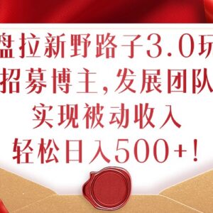2024网盘拉新野路子3.0玩法 招募博主发展团队获稳定被动收入-雨叶虚拟资源网