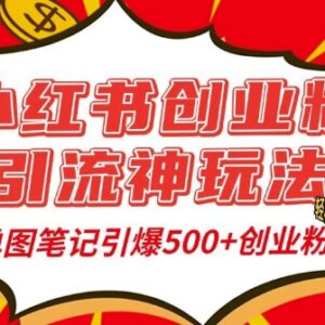 小红书创业粉精准引流玩法 单图笔记获500+精准粉实操教程-雨叶虚拟资源网
