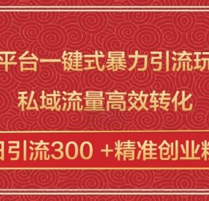 2025跨平台一键引流实操方法 私域高效转化日引300+精准创业粉-雨叶虚拟资源网