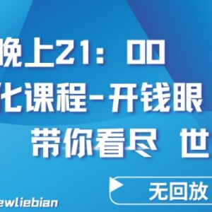 4.26内部《项目孵化-开钱眼》课程回放 网创赚钱底层逻辑揭秘-雨叶虚拟资源网