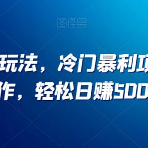 小红书冷门虚拟项目实操教程 无门槛低投入可实现日赚500元-雨叶虚拟资源网