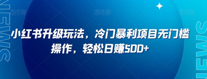小红书冷门虚拟项目实操教程 无门槛低投入可实现日赚500元