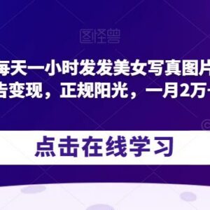 发美女写真接广告变现玩法 零成本正规副业月入2万实操教程-雨叶虚拟资源网