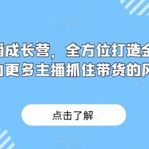 金牌带货主播成长营教程 从入门到精通掌握直播带货核心技能-雨叶虚拟资源网