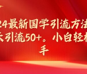 2024最新国学引流实操方法 小白易上手可稳定日引流50+-雨叶虚拟资源网