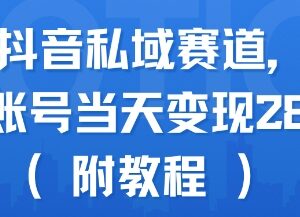 蓝海抖音私域赛道实操教程 新手单账号可实现当日变现288+-雨叶虚拟资源网