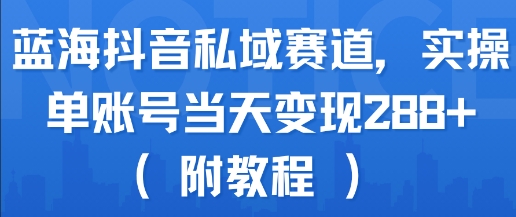 蓝海抖音私域赛道实操教程 新手单账号可实现当日变现288+
