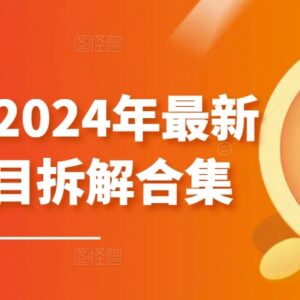 2024年黄岛主副业项目拆解合集 多平台变现玩法无水印教程-雨叶虚拟资源网