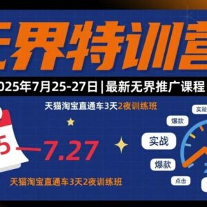2025年7月无界特训营 天猫淘宝直通车推广3天2夜课程资料-雨叶虚拟资源网