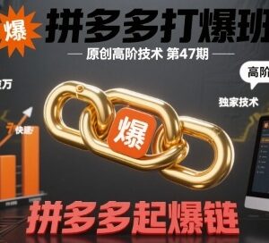 拼多多打爆班高阶技术第47期 商品起爆链全流程实操教学-雨叶虚拟资源网