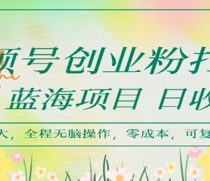 视频号创业粉引流蓝海玩法 低门槛可复制变现操作教程-雨叶虚拟资源网
