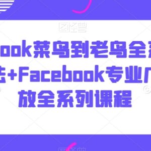 Facebook从新手到精通运营玩法及专业广告投放全系列教程-雨叶虚拟资源网