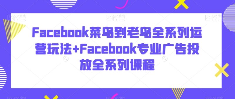 Facebook从新手到精通运营玩法及专业广告投放全系列教程