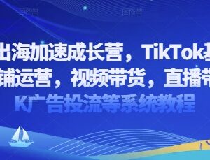 2025TikTok出海成长营系统教程 覆盖选品运营带货投流全模块-雨叶虚拟资源网