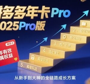 2025Pro版拼多多年卡课程 涵盖运营推广爆款玩法全模块内容-雨叶虚拟资源网