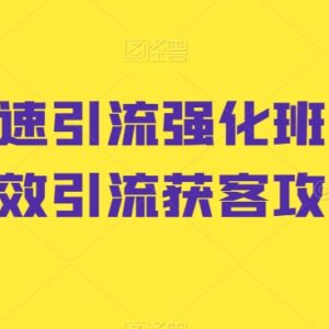 小红书高效引流获客攻略 爆款笔记打造全流程实操课程-雨叶虚拟资源网