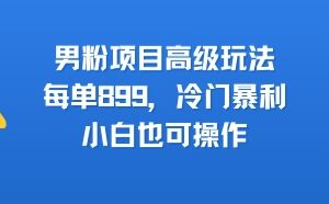 男粉项目高客单高级玩法分享 零成本易操作单客收益可达899元-雨叶虚拟资源网