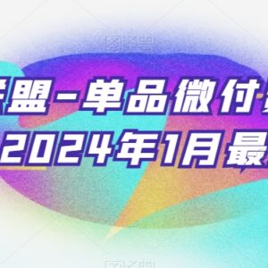 2024年1月臻曦联盟单品微付费正价起号实操课程合集-雨叶虚拟资源网