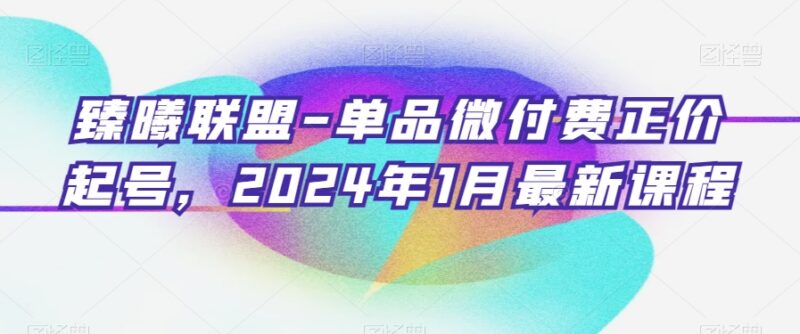 2024年1月臻曦联盟单品微付费正价起号实操课程合集