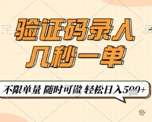 手机验证码录入副业操作指南 正规流程及收益情况详解-雨叶虚拟资源网