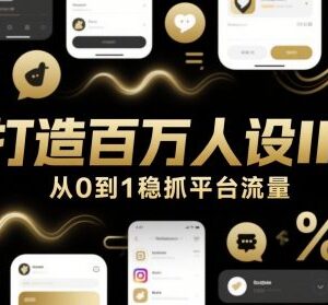 从0到1打造百万级人设IP 全流程掌握平台流量运营技巧-雨叶虚拟资源网