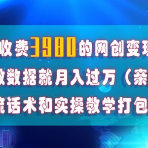 短视频及全媒体平台流量优化项目全攻略 零基础可上手实测月入1W+-雨叶虚拟资源网
