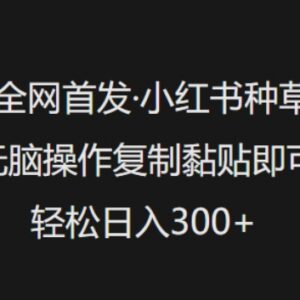 2025小红书复制粘贴种草实操教程 低门槛副业日入300玩法解析-雨叶虚拟资源网